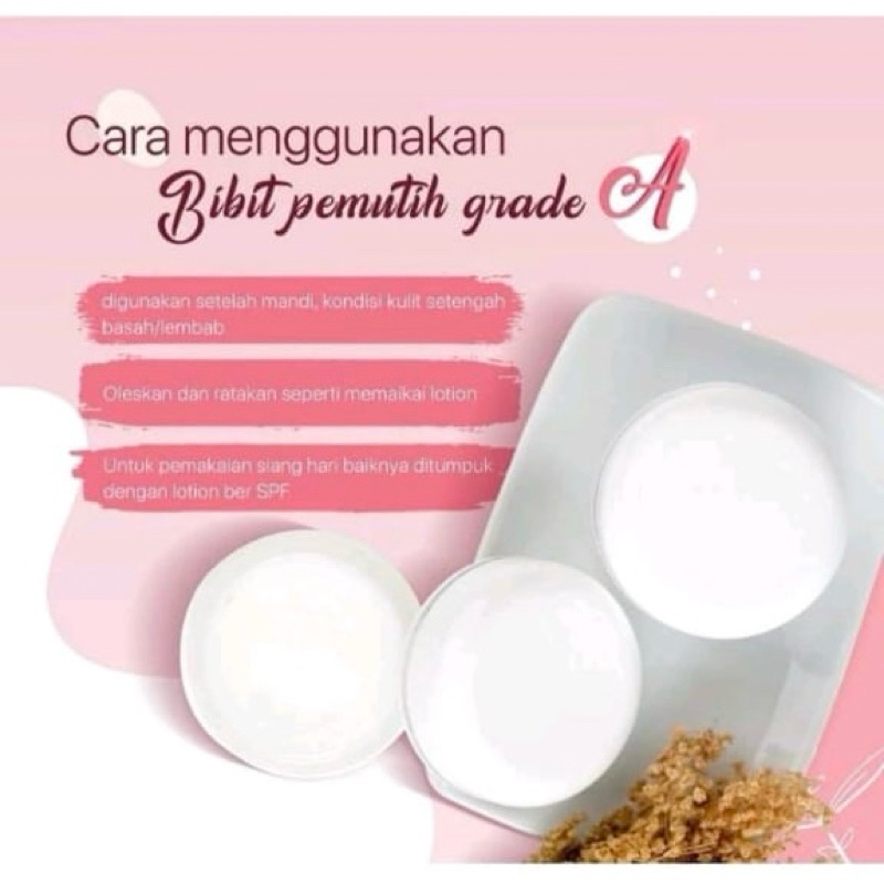 BIBIT PEMUTIH GRADE A