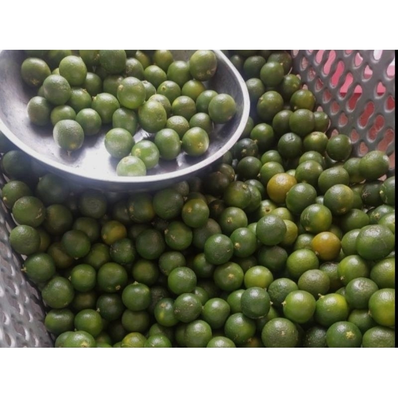 

Jeruk Kasturi/jeruk kunci/lemon cui 1KG