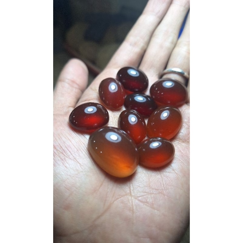 Getah katilayu kualitas super terlaris termurah siap pakai