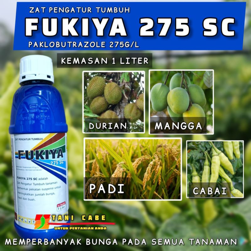 FUKIYA paklobutrazole 275 sc-kemasan 1 liter