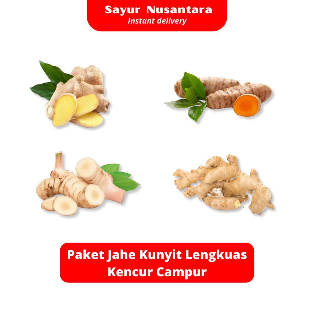 

Paket Jahe, Kunyit, Lengkuas, Kencur Campur - Sayur Nusantara