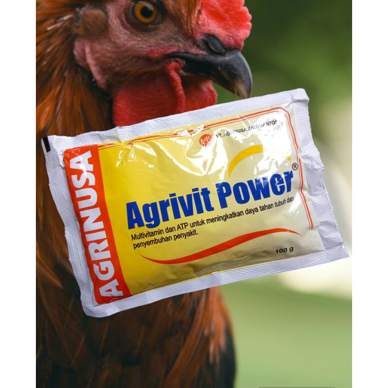 Vitamin Ayam Bangkok Ayam Petarung dengan ATP untuk daya tahan tubuh AGRIVIT POWER 100 Gram