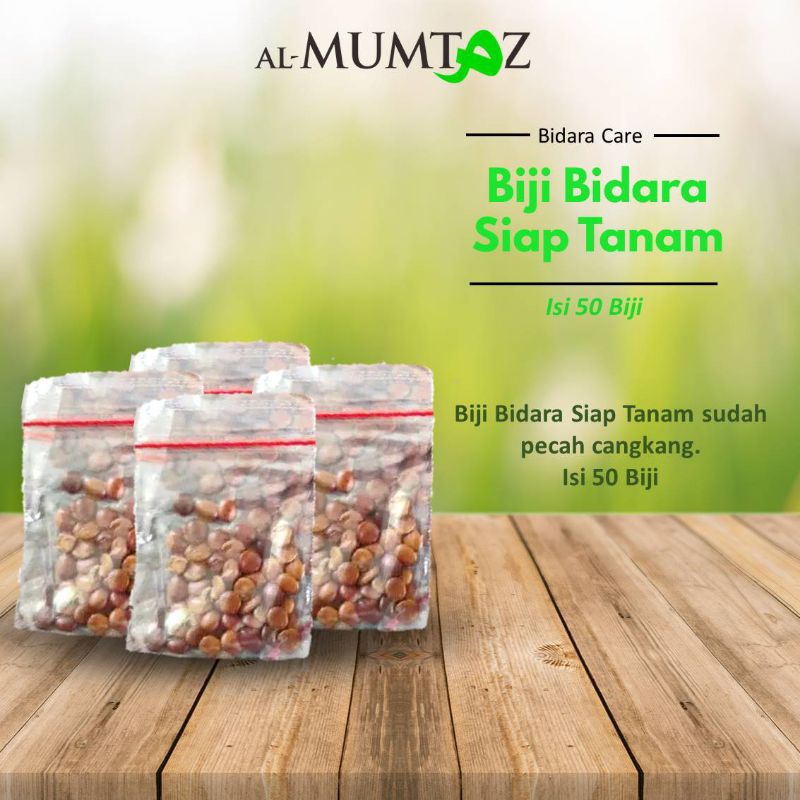 

Biji Bidara Asli Murni Siap Tanam isi 50 biji
