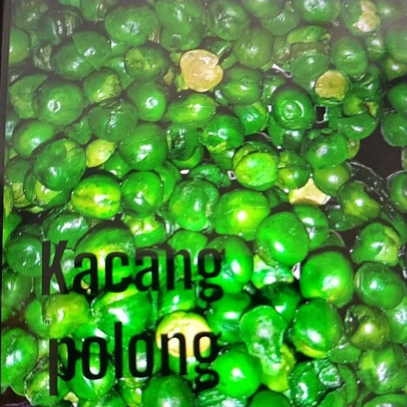 

kacang polong