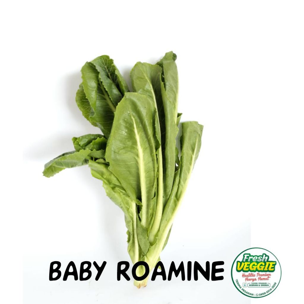 

Sayur Baby Roamine Hidroponik - 250gr