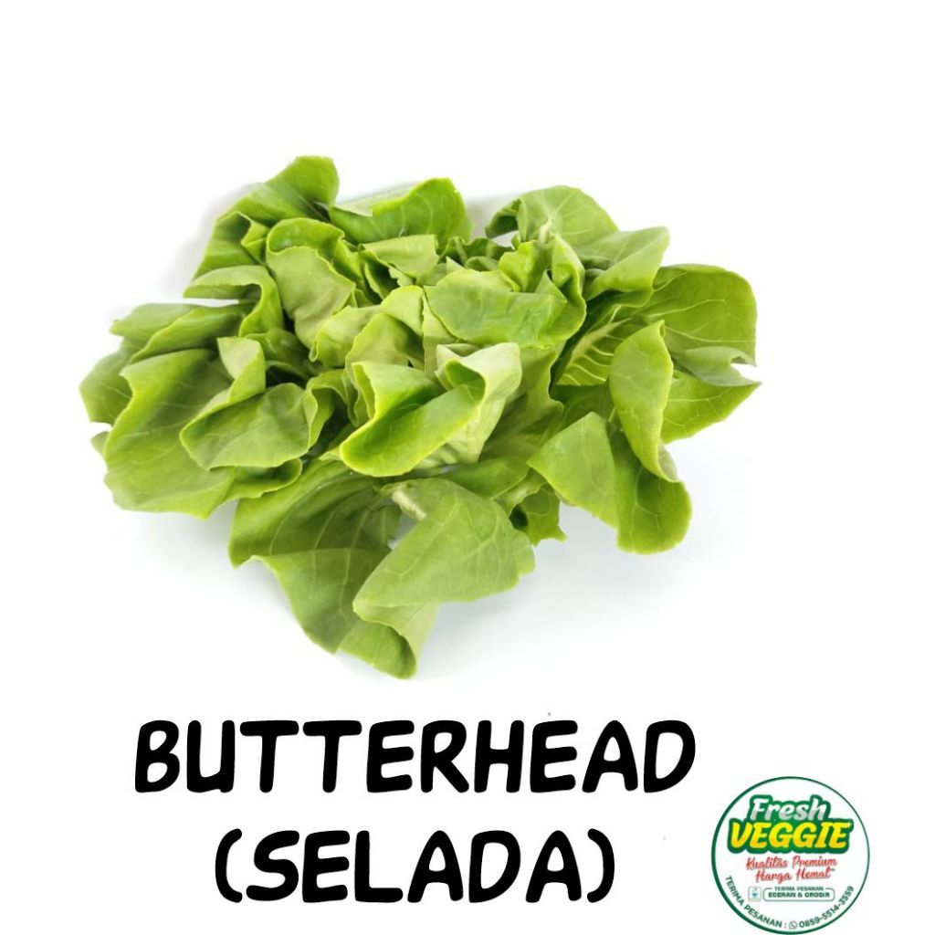 

Sayur Selada Hidroponik - 250gr