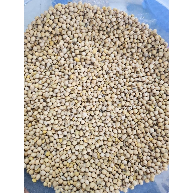 

Kacang Kedelai Per 250 gram