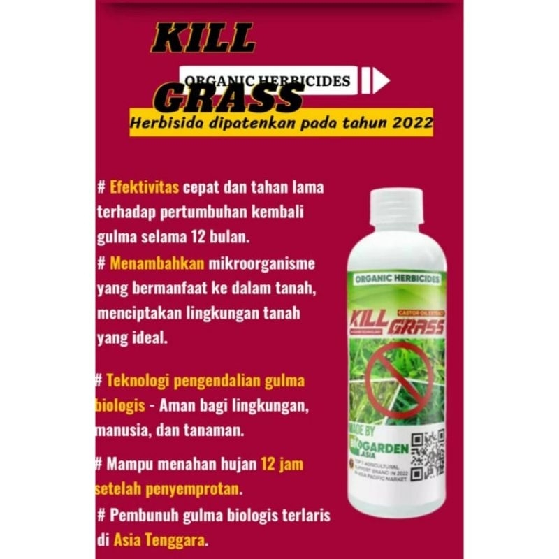 kill grass herbisida biologis