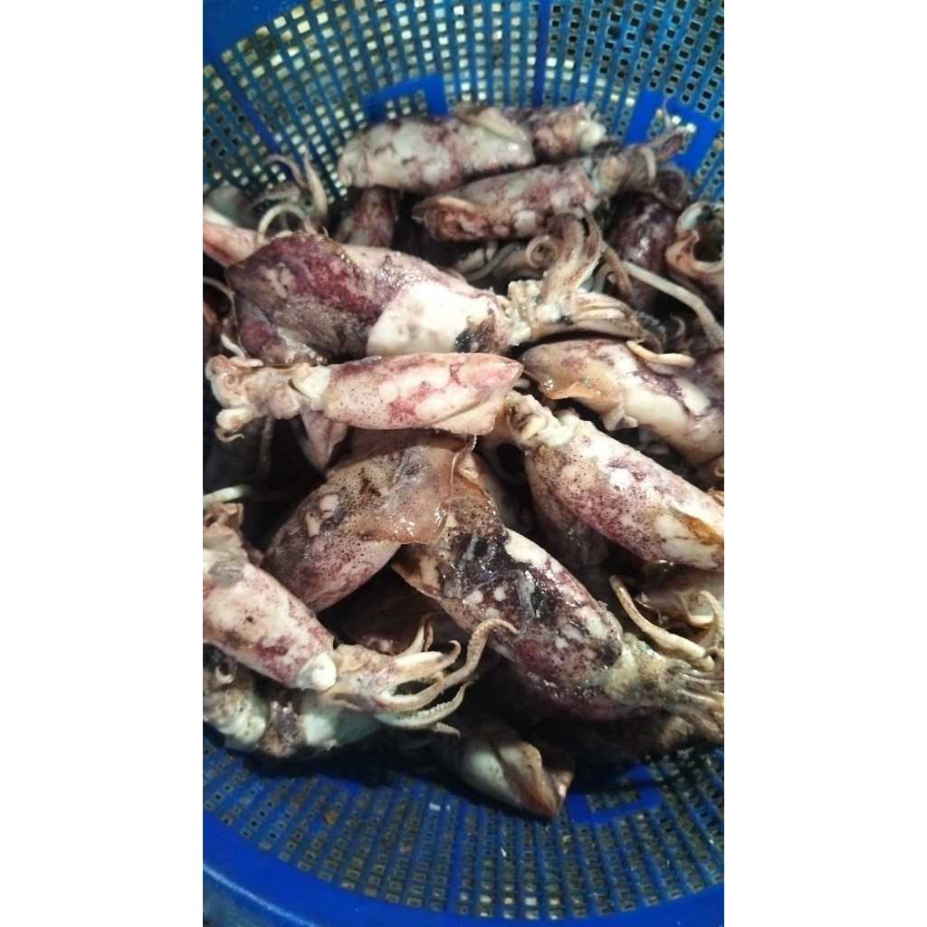 

IKA ASIN CUMI UKURAN BESAR PER 100 GR - IKAN ASIN - CUMI ASIN