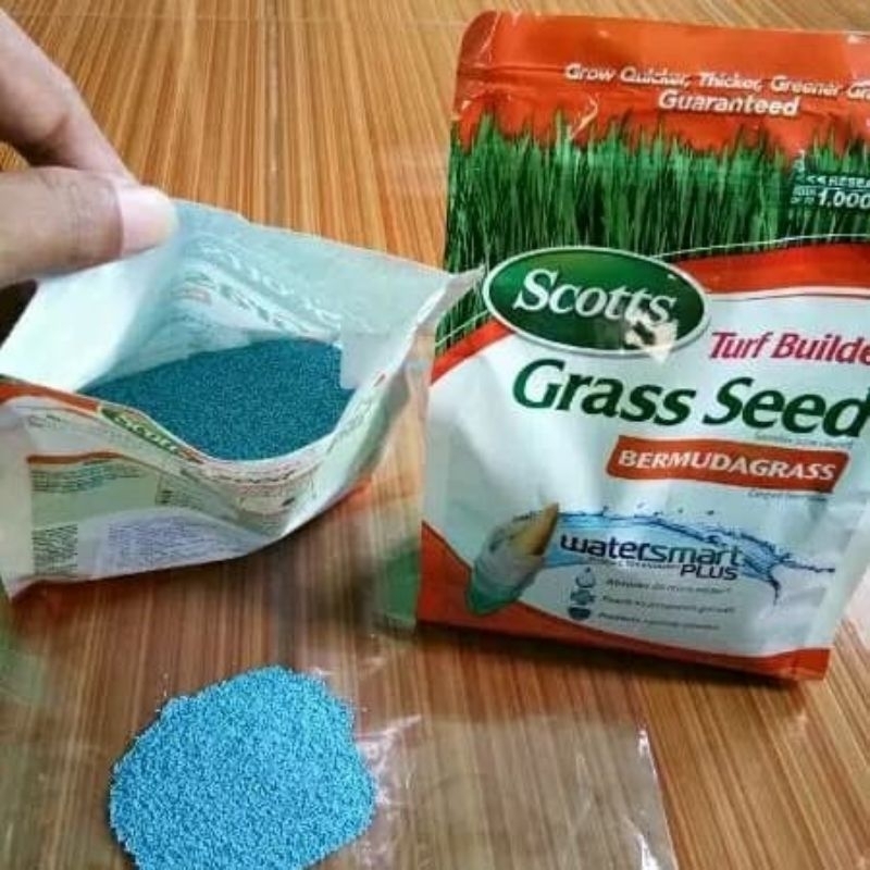 Biji rumput bermuda grass / Benih rumput grass seed