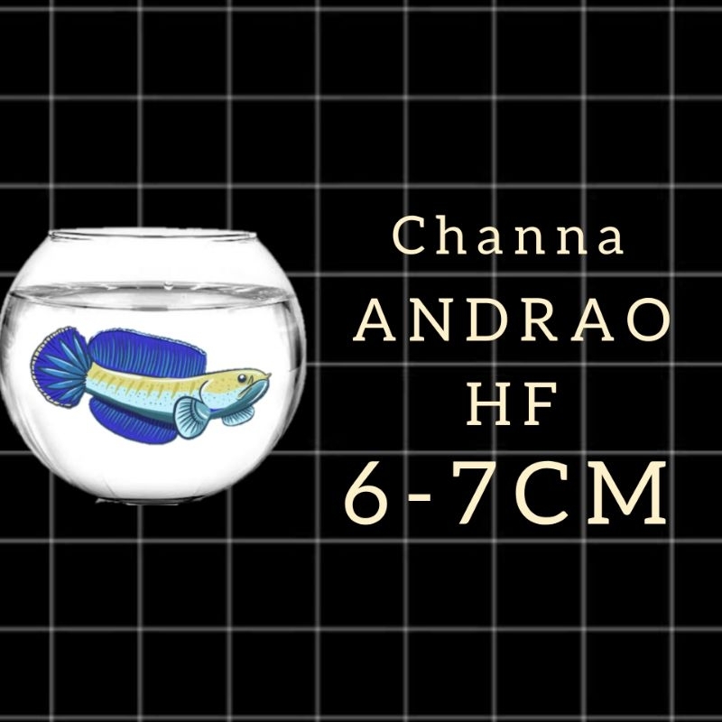 

Sticker Channa ANDRAO 6CM HF