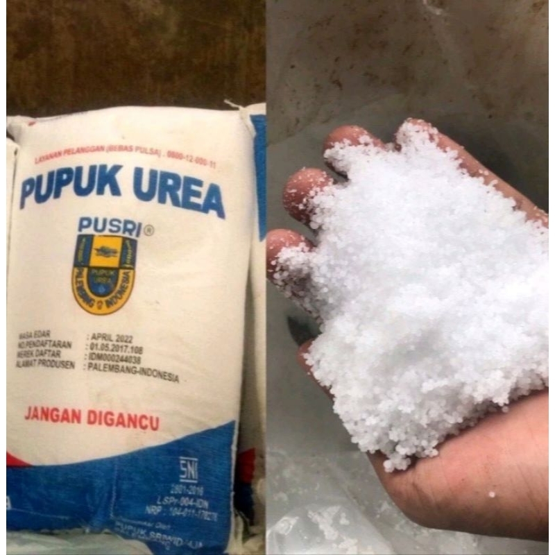 PUPUK UREA PUSRI KEMASAN 1 KG