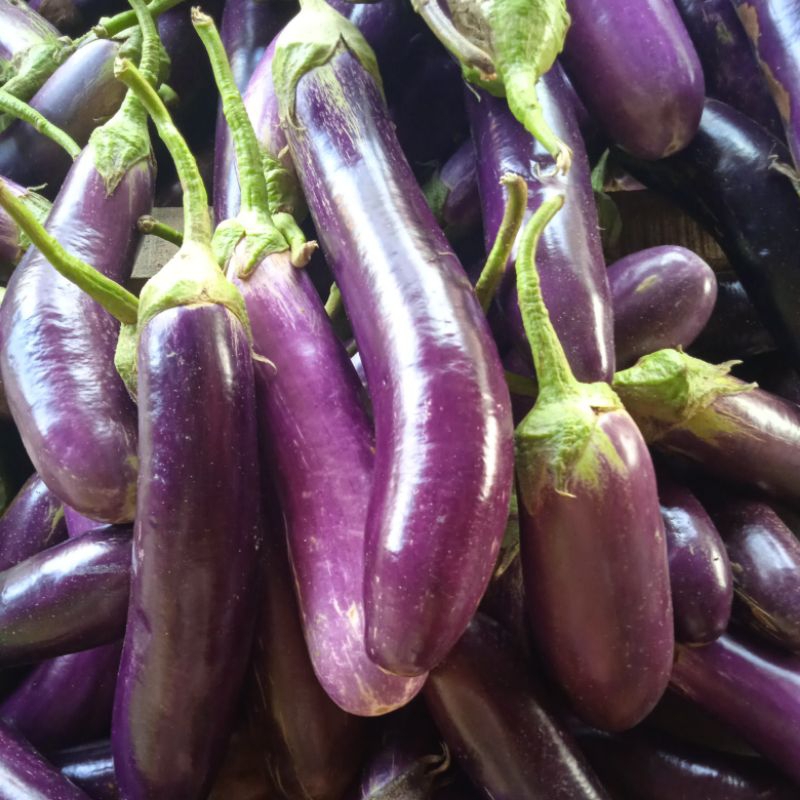 

Terong Ungu 500 gram