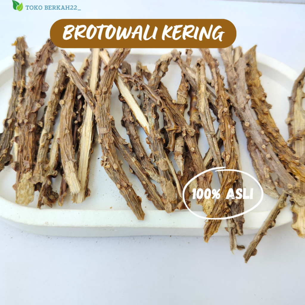 

BROTOWALI KERING 100% ORIGINAL