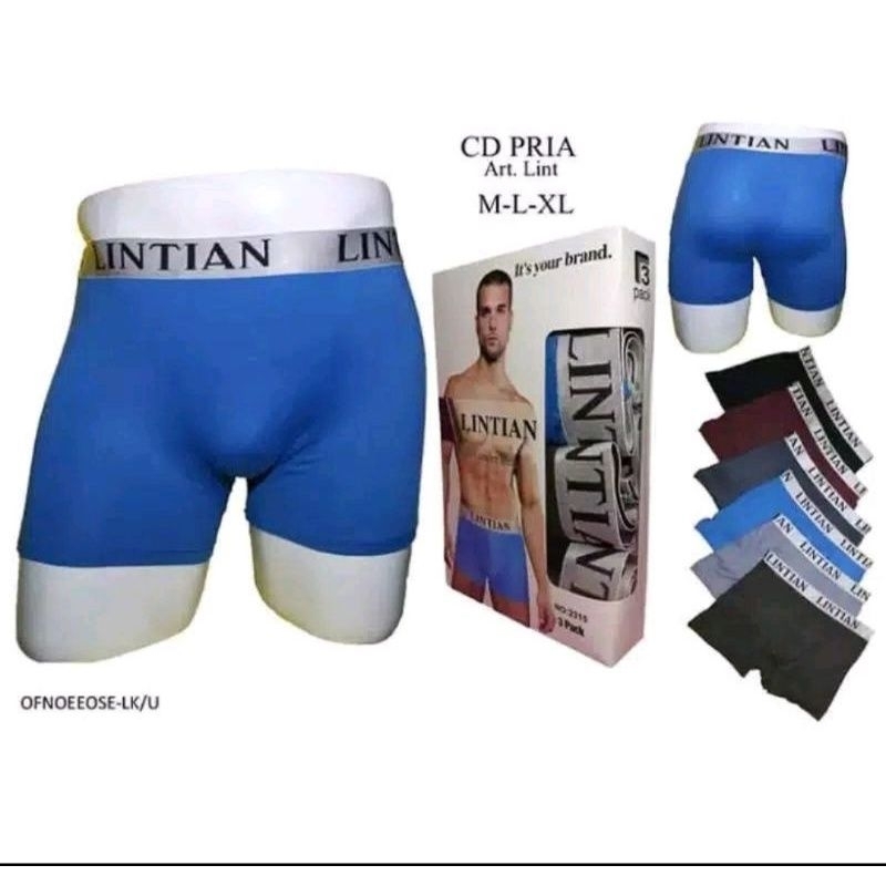 boxer spandek dewasa lintian