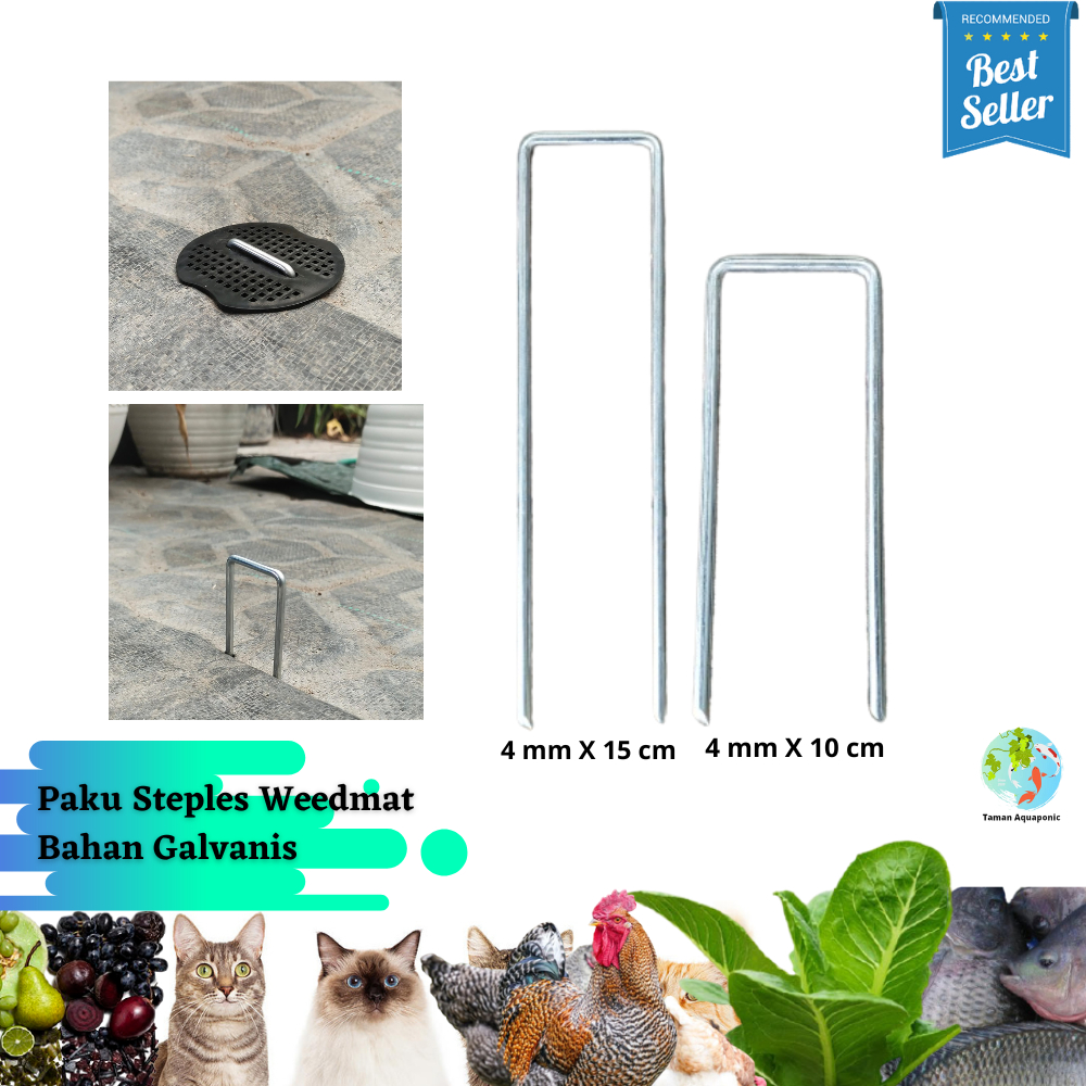 Paku Steples Weedmat Bahan Galvanis