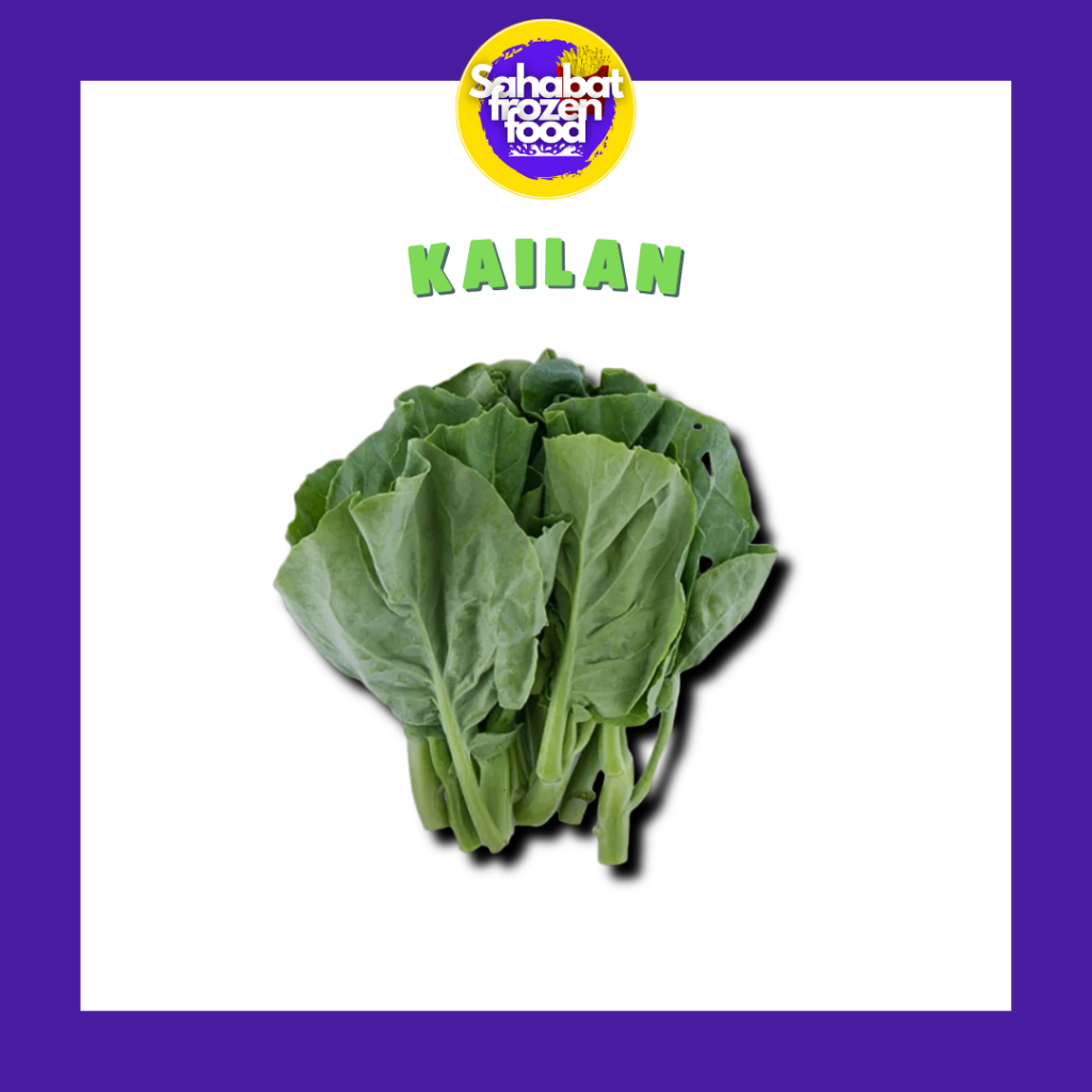 

Kailan / Sayur Baby Kailan Segar 1 Ikat