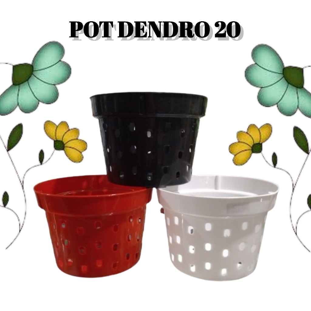 Pot Anggrek Dendrobium 20 cm Tanaman Bunga Hias Aglonema Media Tanam