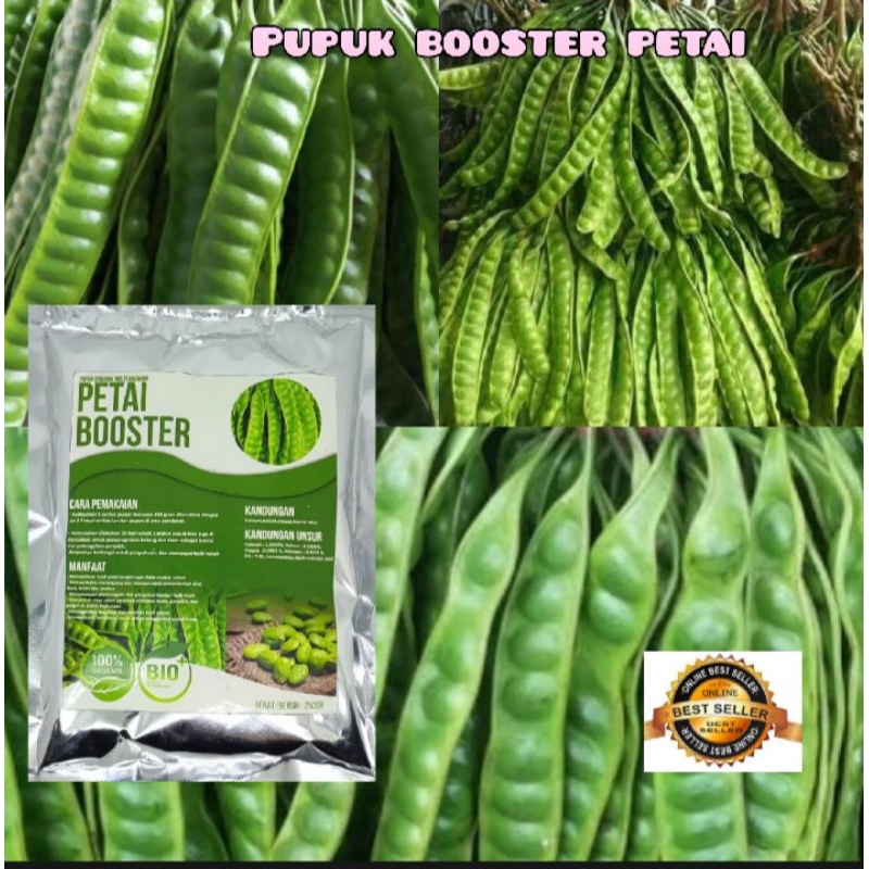 PupukBooster pelebatPetai