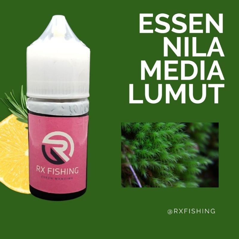 Essen Ikan Nila Media Lumut