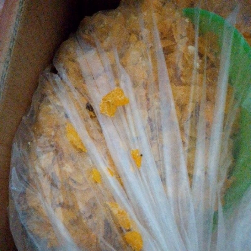 

EMPING JAGUNG.( 750gram ) JAGUNG MENTAH.JAGUNG SIAP GORENG.JAGUNG PIPIH