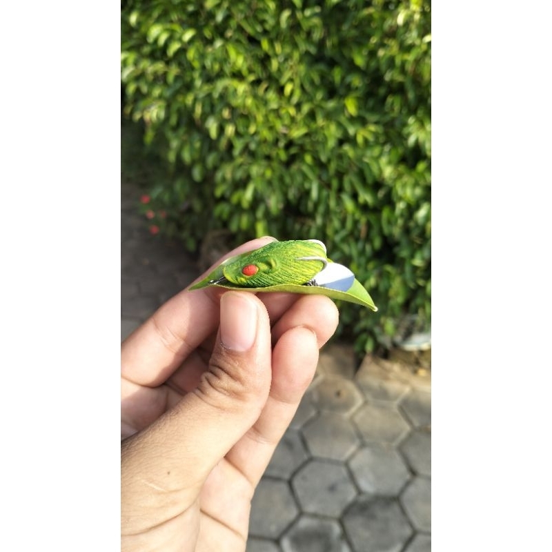 soft frog 3D terlaris