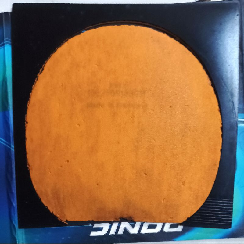 Donic Baracuda Second