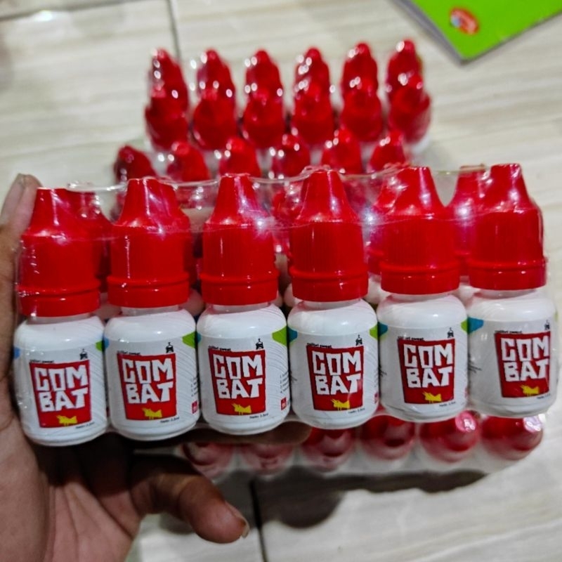 combat penggacor burung penghisap madu colibri sweat combat