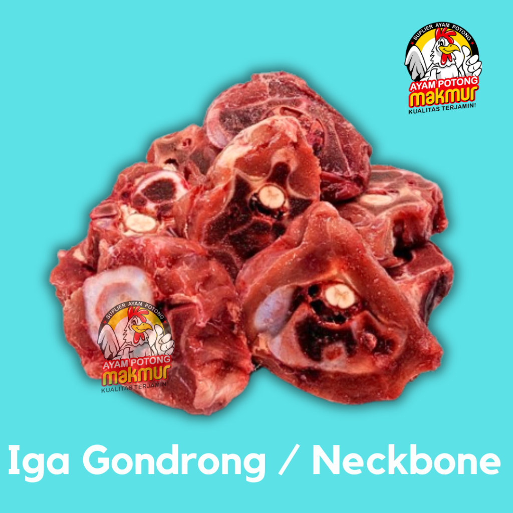 

Neckbone Iga Gondrong