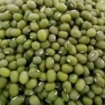 

Kacang Hijau / Birma Premium