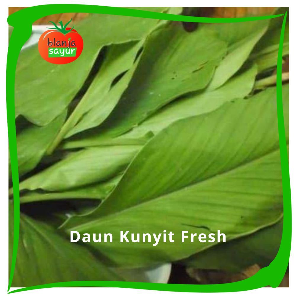 

Daun Kunyit Fresh 1 ikat