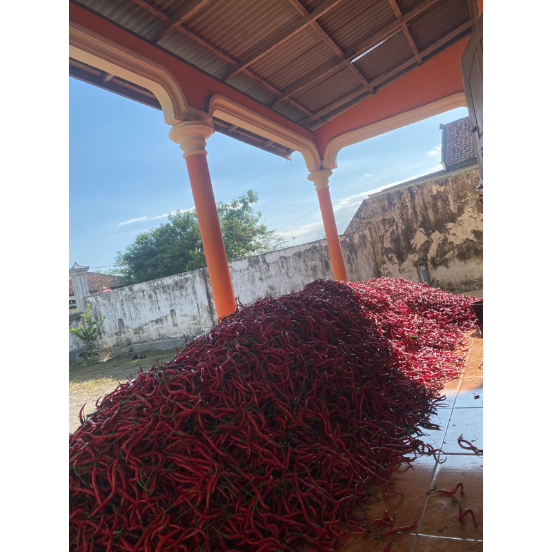 

Cebe Kriting/Bumbu masak 1000g/1kg