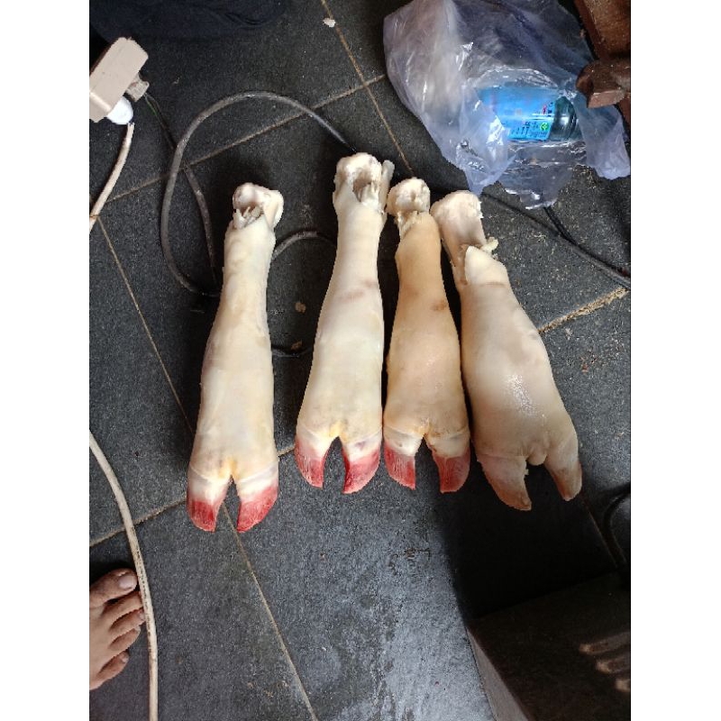 

Kaki sapi 1pcs fresh