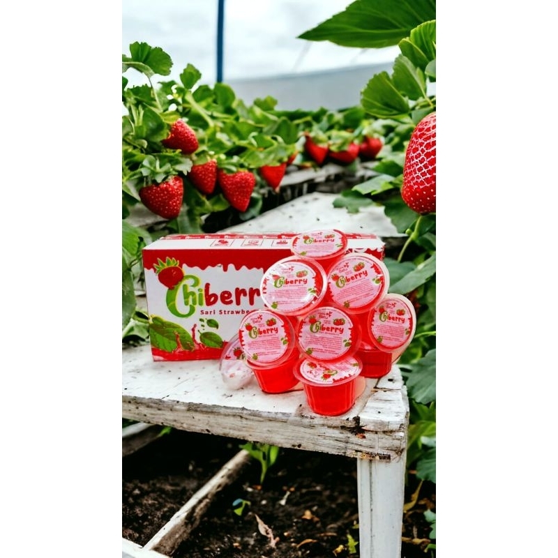 

chiberry 12