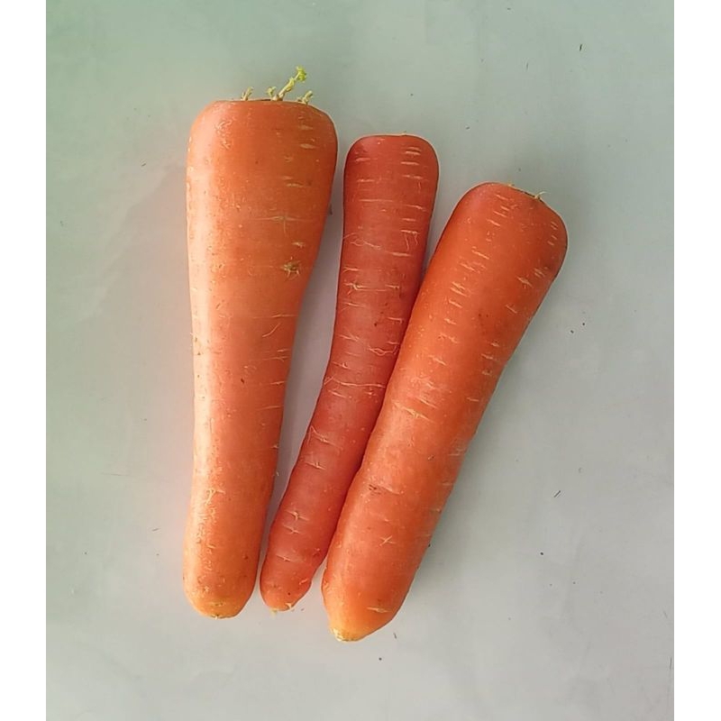 

wortel Impor - 500 gr