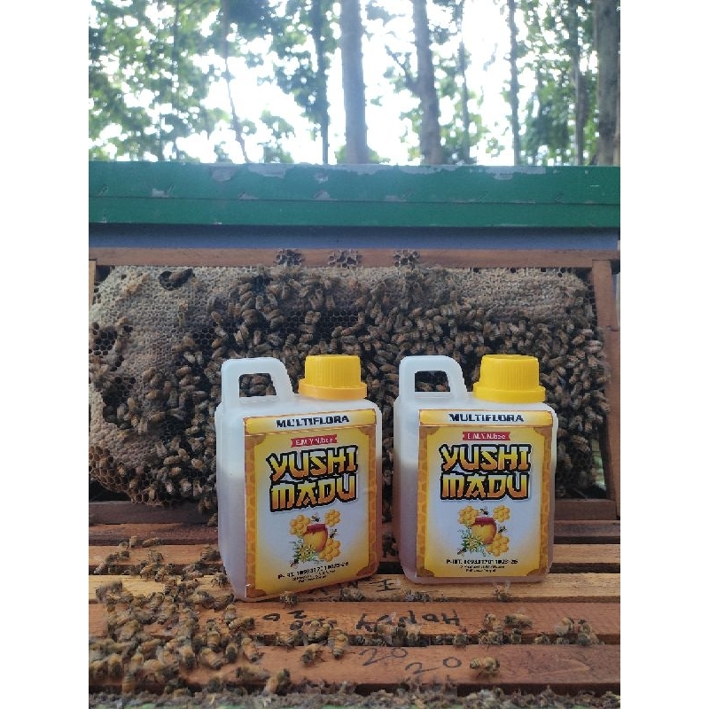 

Beli satu gratis satu 500gram bonus 500gram