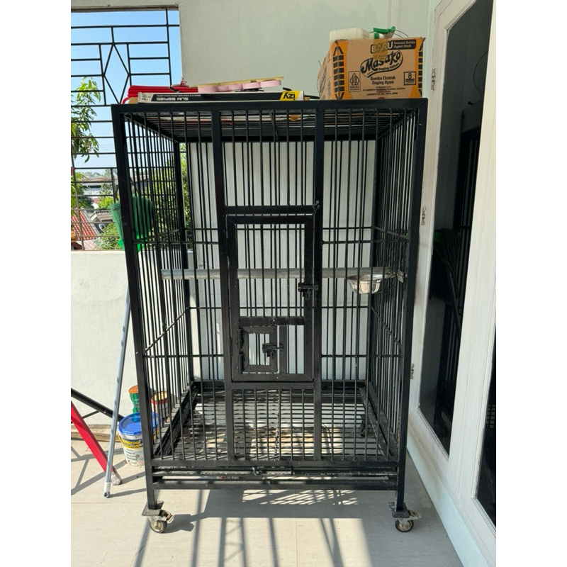 kandang burung macaw