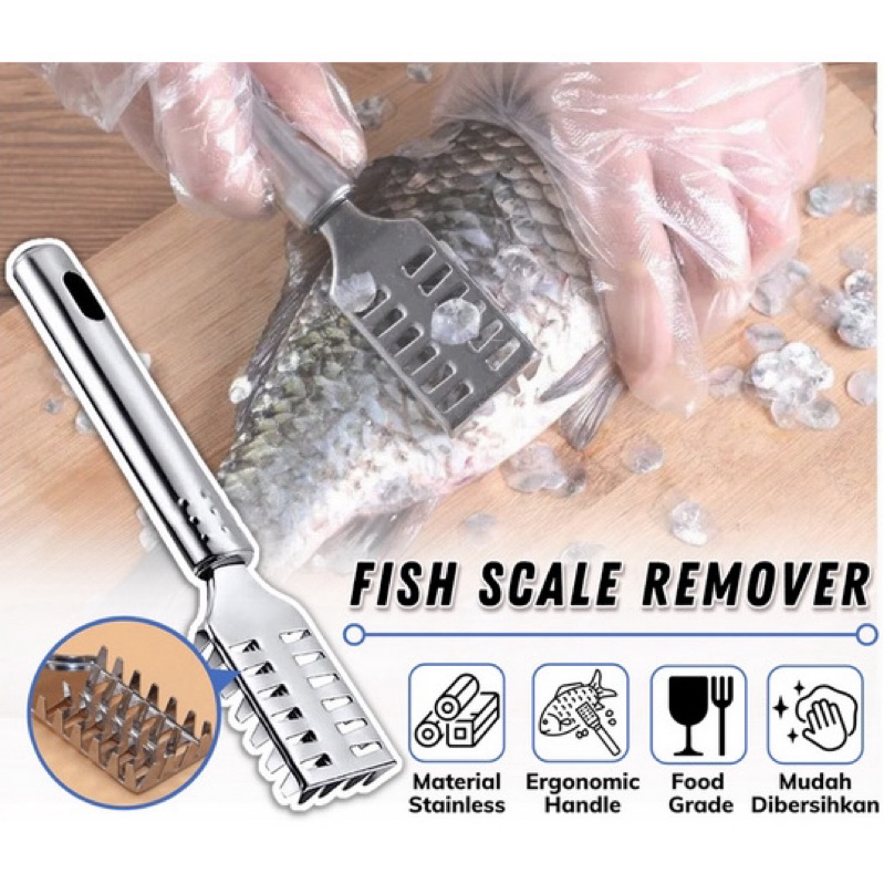 (kitty) Alat Pembersih Sisik Ikan Stainless Steel Kerokan Sisik Ikan