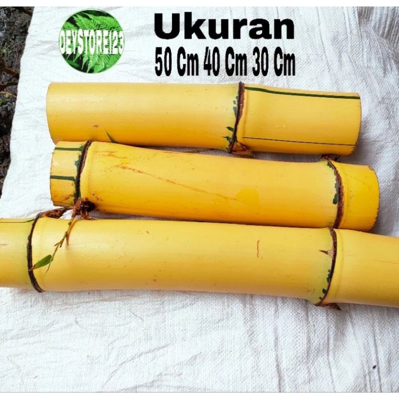 POTONGAN BAMBU KUNING UNTUK KERAJINAN