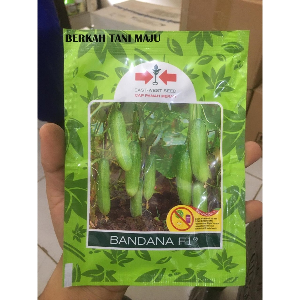 Benih timun mentimun bandana F1 panah merah 15gr
