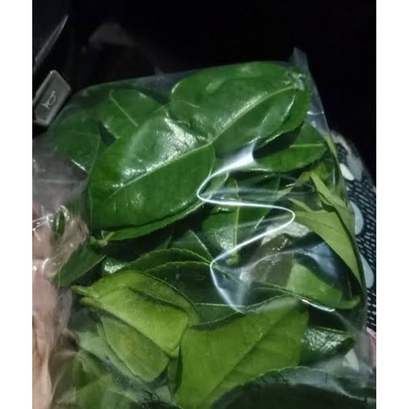 

Daun jeruk segar