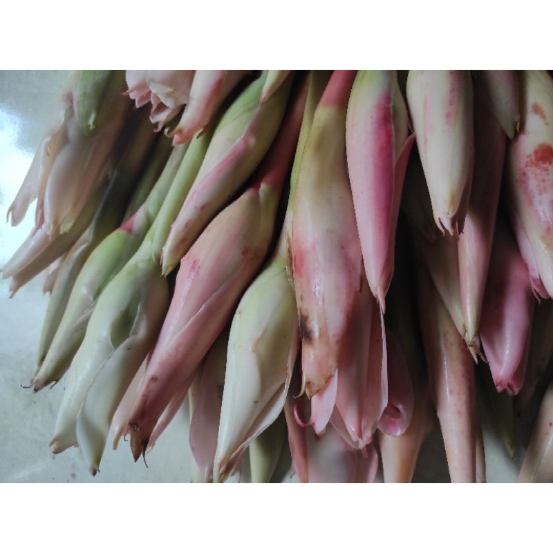

bunga kecombrang segar 500gr