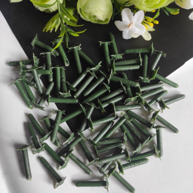 Tangkai Kelopak - Paku Suyok - Paku Bunga Suyok