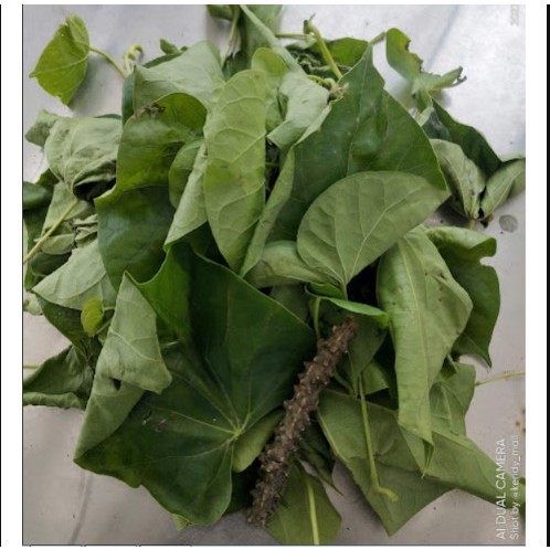 

Daun Brotowali Segar/ Daun Brotowali Segar Alami