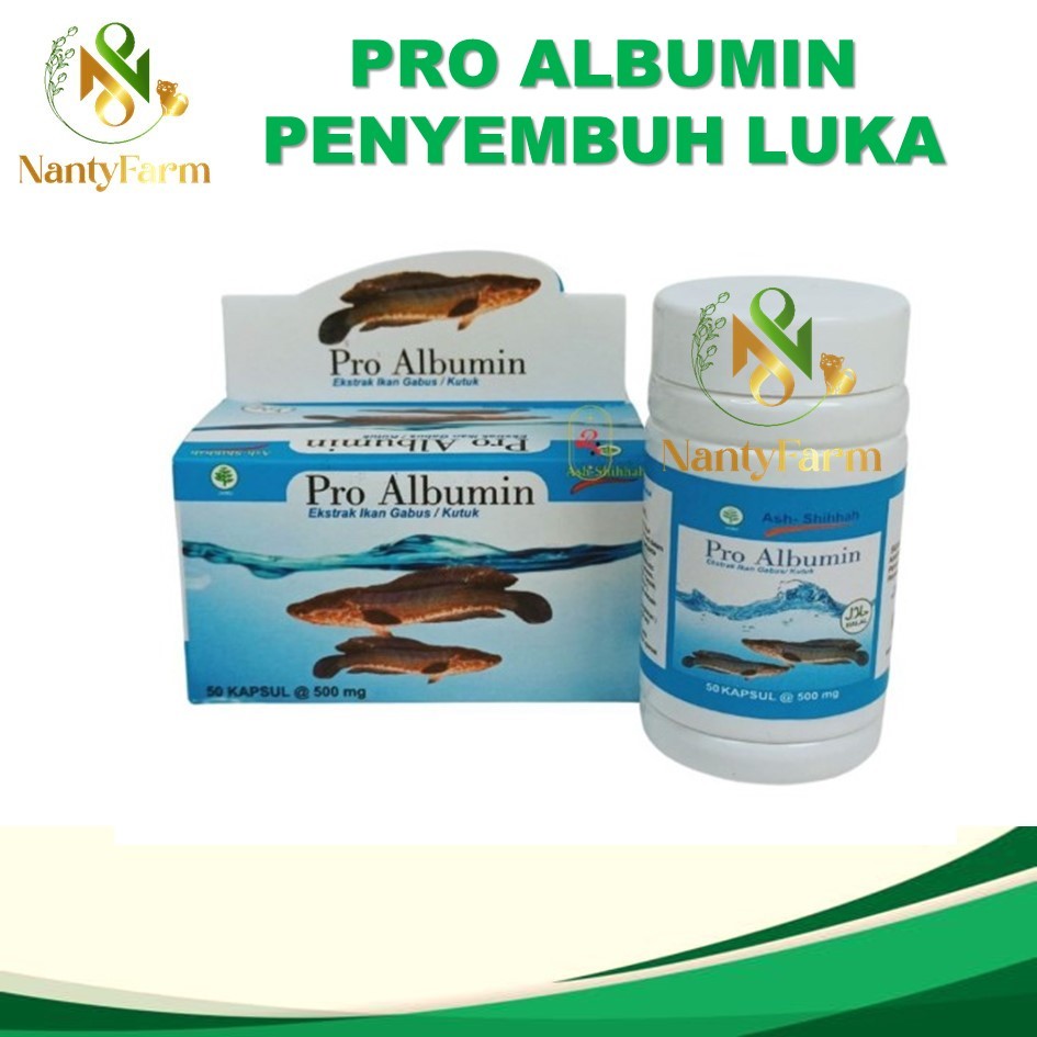 Suplemen Vitamin Penyembuh Luka Kucing Pro Albumin Ekstrak Ikan Gabus