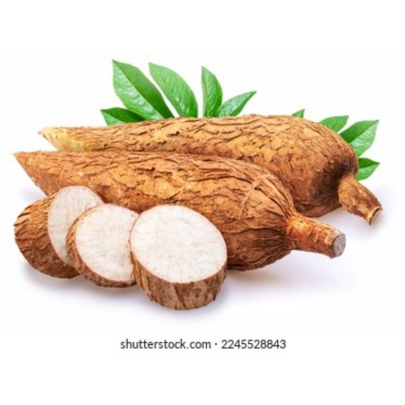 

Singkong racun/Sapi kuru 1 kg