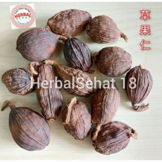 

Cao Guo Ren 1 Kilogram 草果仁 Black Cardamom Kapulaga Hitam / Tsaoko Amomum Fruit - CHO KO JIN
