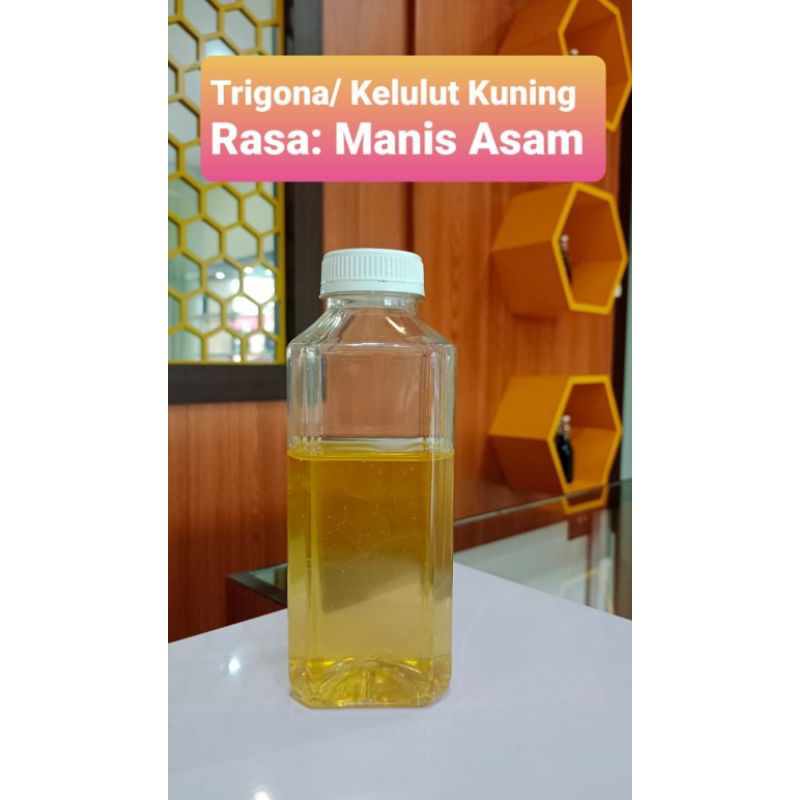 

Madu Kelulut Kuning