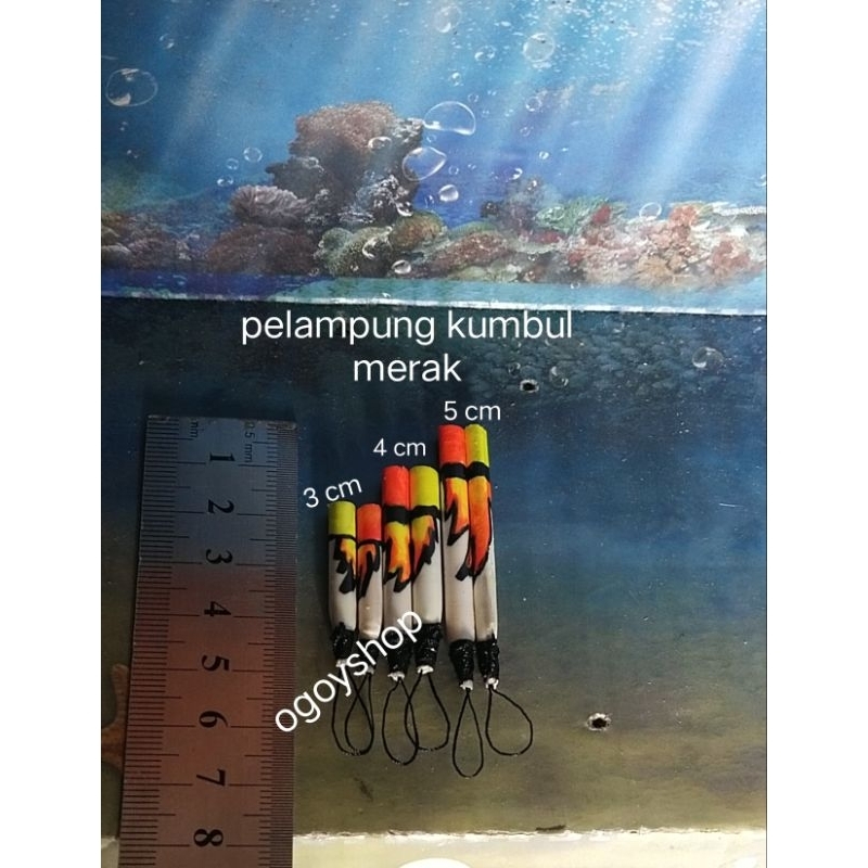 pelampung kumbul merak ngibing