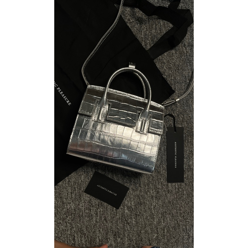 Aesthetic Pleasure Micro Isolation Bag Silver Croco [NEW RARE ITEM]